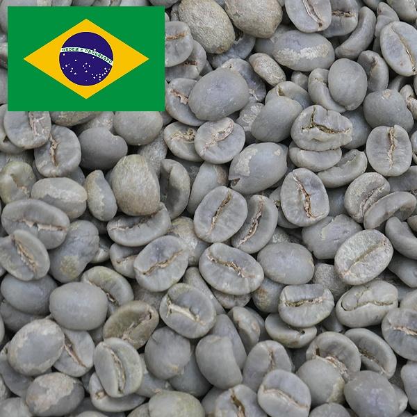 コーヒー豆 2kg 受注焙煎！ ブラジル イパネマ S18 ウオッシュド [選べる焙煎度合い] コー...