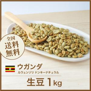 【コーヒー生豆】グアテマラ SHB 10kg ※送料無料！ 生豆 コーヒー 10kg グァテマラ SHB ウエウエテナンゴ グアテマラ