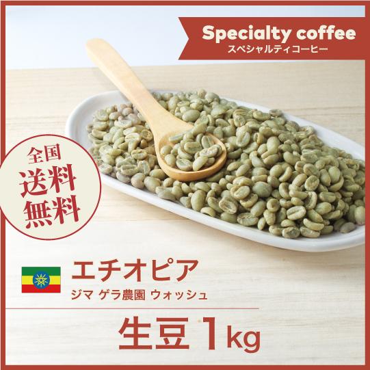 生豆 コーヒー 1kg エチオピア ジマ ゲラ農園 ウォッシュ 送料無料 大山珈琲