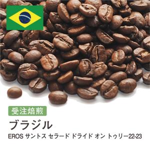 受注焙煎！400g ブラジル EROS サントス セラード ドライド オン トゥリー22-23【New Crop!】 [選べる焙煎度合い] コーヒー豆 送料無料 大山珈琲 自家焙煎