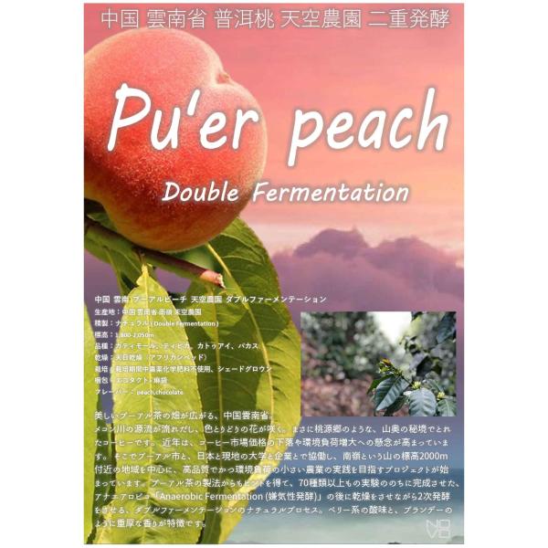 コーヒー豆 2kg 受注焙煎！ 雲南 プーアルピーチ 天空農園 ダブルファーメンテーション [選べる...