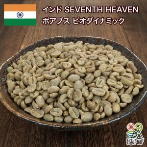 コーヒー 生豆 インド パパクチ農園 ファインロブスタ ウォッシュ A