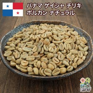 コーヒー 生豆 エチオピア イルガチェフェ G/1 コンガ農協 ウォッシュ