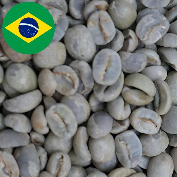 生豆 コーヒー 1kg ブラジル ドゥトラ 有機栽培 オーガニック 送料無料 大山珈琲