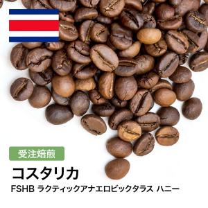 コーヒー 生豆 コスタリカ FSHB ラクティックアナエロビックタラス
