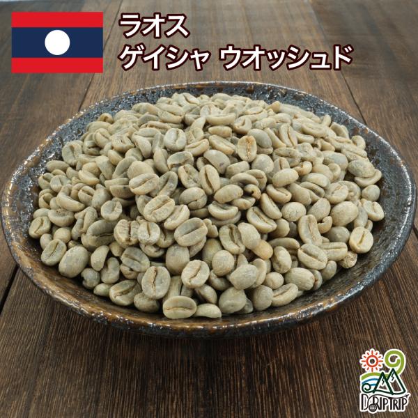 コーヒー 生豆 ラオス ゲイシャ100% ウオッシュド #314 DripTrip 1kg 2kg ...