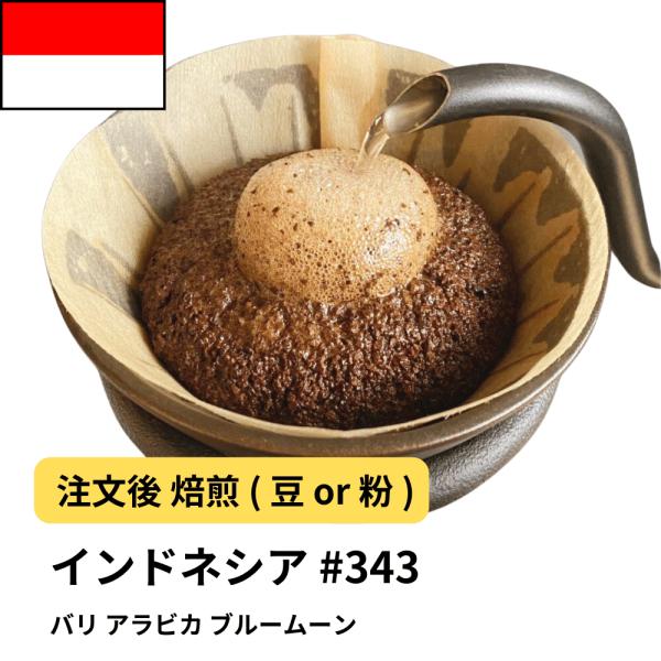 コーヒー 豆 粉 バリ アラビカ ブルームーン #343 DripTrip 珈琲
