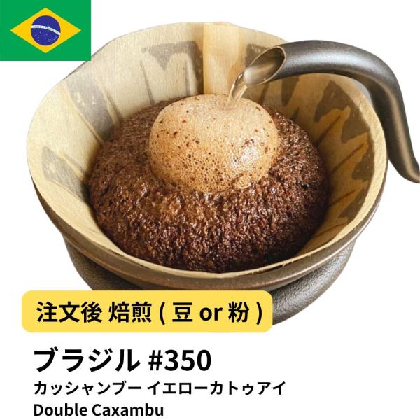 コーヒー豆 ブラジル カッシャンブー イエローカトゥアイ Double Caxambu 受注焙煎 選...