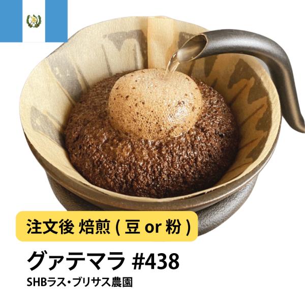 コーヒー 豆 粉 グァテマラSHB ラス・ブリサス農園 #438  DripTrip 珈琲