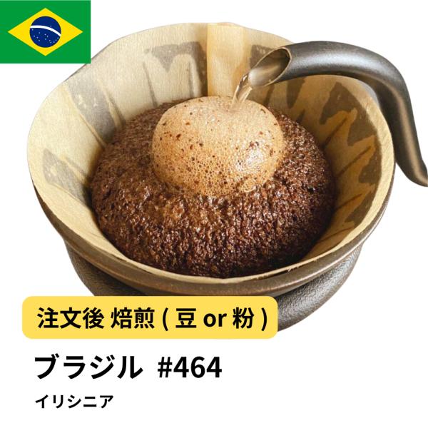 コーヒー 豆 粉 ブラジル イリシニア #464 DripTrip 珈琲