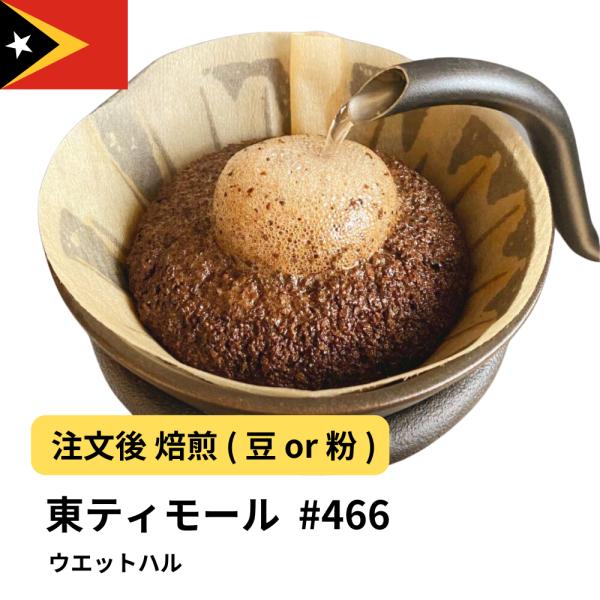 コーヒー 豆 粉 東ティモール ウエットハル #466 DripTrip 珈琲
