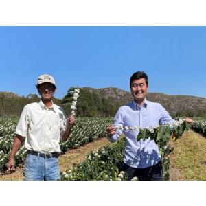 コーヒー 豆 粉 ブラジル フクダ農園 ブルボ...の詳細画像1