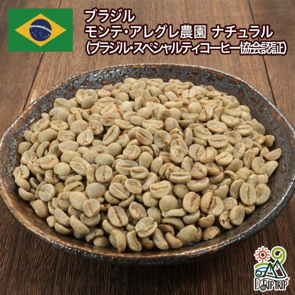 コーヒー 生豆 ブラジル モンテ・アレグレ農園 ナチュラル（ブラジル・スペシャルティコーヒー協会認証...