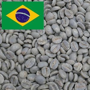 生豆 コーヒー 200g ブラジル ブルボン（BRAZIL BOURBON) Qグレード 送料250円で800gまで組み合わせ自由 大山珈琲