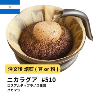 ニカラグア コーヒー豆 ロスアルティプラノス農園 パカマラ #510 DripTrip 珈琲｜300種のコーヒー豆専門店ドリップトリップ