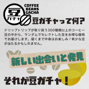 【はずれなし】豆ガチャ コーヒー豆 100g×...の詳細画像3
