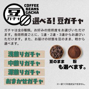 【はずれなし】豆ガチャ コーヒー豆 100g×...の詳細画像4
