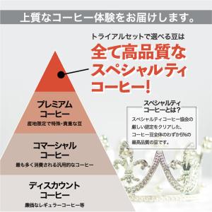コーヒー 豆 お試し DRIP TRIP 15...の詳細画像4