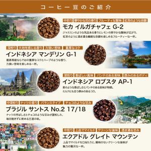 コーヒー 豆 お試し DRIP TRIP 15...の詳細画像3