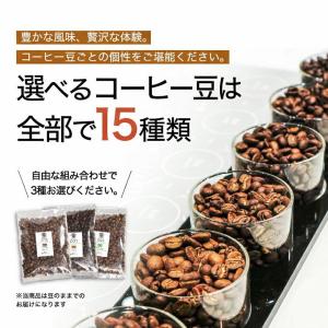 コーヒー 豆 お試し DRIP TRIP 15...の詳細画像5