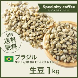 DRIP TRIP 生豆 ブラジル No2 カルモデミナス Qグレード コーヒー 珈琲 1kg 2kg 5kg ポイント消化 送料無料