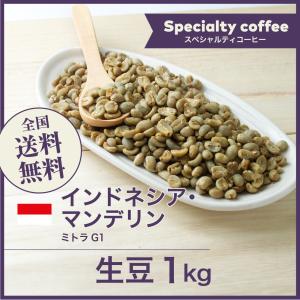 生豆 コーヒー 10kg モカ ゲイシャ G-3 ナチュラル エチオピア