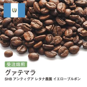 ドリップバッグ グアテマラ SHB アンティグ...の詳細画像2