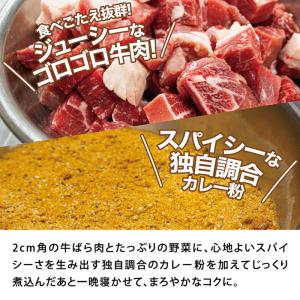 絶品!牛肉ゴロゴロカレーパン 1個 冷凍パン ...の詳細画像5