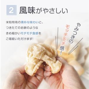 米粉パン 20個 ゆる グルテンフリー 無添加...の詳細画像5