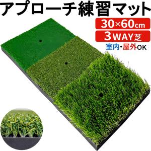 DAIYA（ダイヤ） (送料無料)ダイヤ アプローチセット462 TR-462
