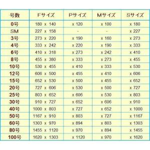 桐材木枠 50号 F/P/M各サイズ 画材 木...の詳細画像1