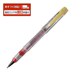 採点ペン　ソフトペン　スケルトン　透明軸　赤　プラチナ万年筆｜gazaiya