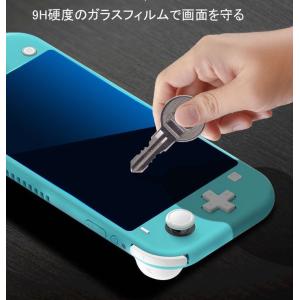 ニンテンドー スイッチライト ブルーライトカッ...の詳細画像2