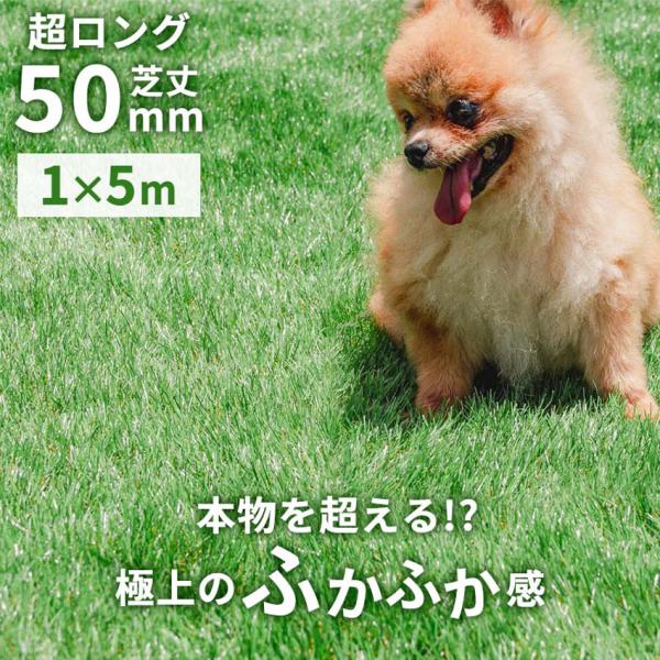 人工芝 ロール 1m×5m 芝丈50mm 芝生マット 人工芝生 ガーデン バルコニー 屋上 テラス ...