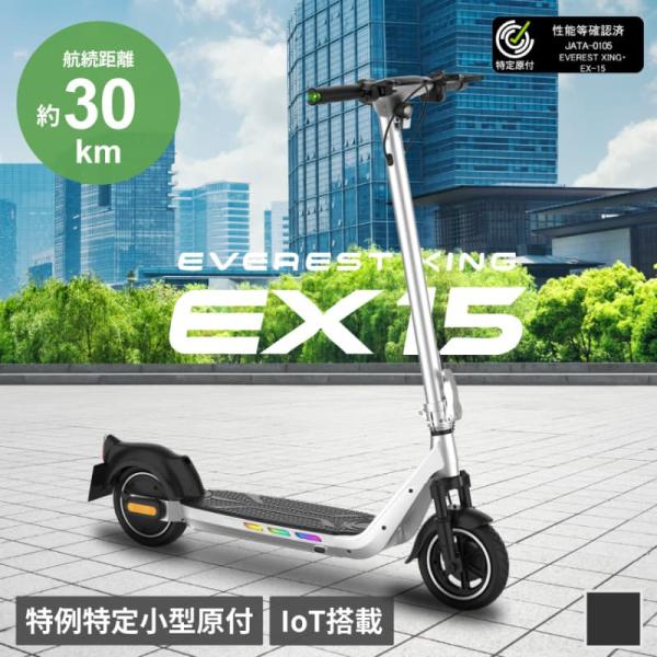 EVEREST XING EX15 特例特定小型原動機付自転車 ピークシルバー ストレートブラック
