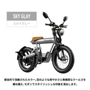 COSWHEEL MIRAI S 電動バイク ...の詳細画像5