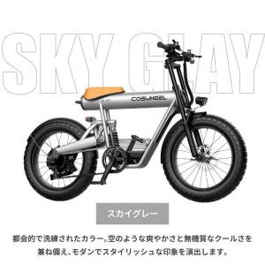 MODEL COSWHEEL MIRAI CO...の詳細画像5