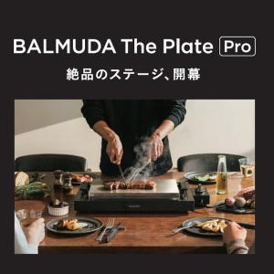 バルミューダ BALMUDA The Plat...の詳細画像1