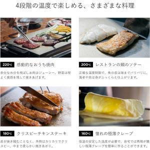 バルミューダ BALMUDA The Plat...の詳細画像4
