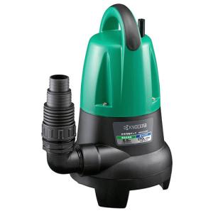 荏原製作所 20HPE0.15S HPE型 浅井戸用インバータポンプ 150W 単相100V