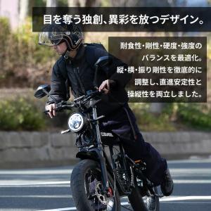 COSWHEEL MIRAI S 電動バイク ...の詳細画像2