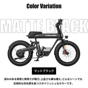 MODEL COSWHEEL MIRAI CO...の詳細画像4
