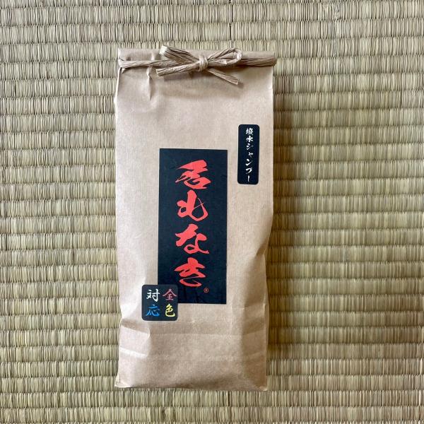 名もなき 撥水シャンプー 100ml お試しボトル 簡単洗車 名もなきシリーズ お手軽 DIY 超撥...