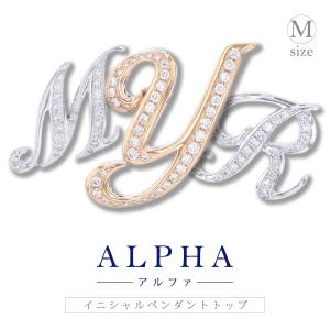 ゆきざき アルファプティR アンクレット （ブランド登録なし ノンブル 