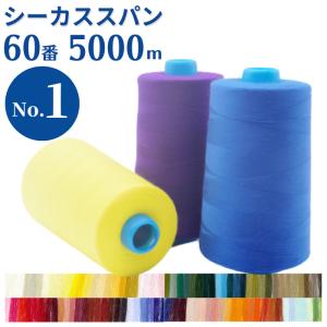 ミシン糸 シーカススパン 60番 5,000m ...の商品画像