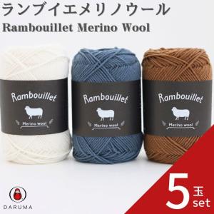 毛糸 ダルマ ランブイエメリノウール 5玉セット 01-5810 DARUMA 秋冬毛糸 手編み糸 編み糸 毛 ウール 毛編み糸 DARUMA ダルマ 手芸 秋冬 編み物 ニット セーター｜糸とゴムのお店 ちゅうせん