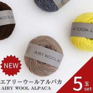 amuhibi　KNIT BOOK2 スカラップヨーク用毛糸色違い　 新品未使用 KNIT BOOK2nd_01 SCALLOP YOKE糸セットManchelopiバージョン糸