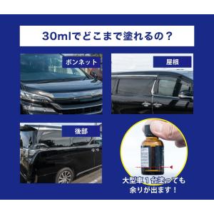 ワックス 車 おすすめのランキングtop100 人気売れ筋ランキング Yahoo ショッピング