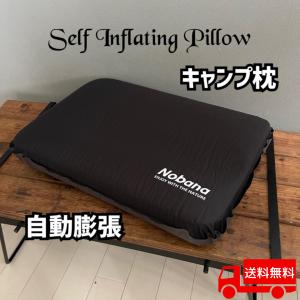 snow peak（スノーピーク） ピロー ストレッチピロー TM-095R snow