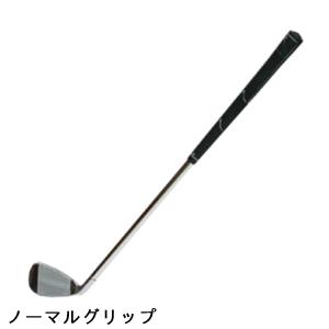 広田ゴルフ ロジャーキング ロジャーキング 飛...の詳細画像1